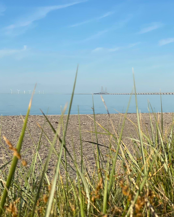 Billede af Storebæltsbroen sommerdag med still vand